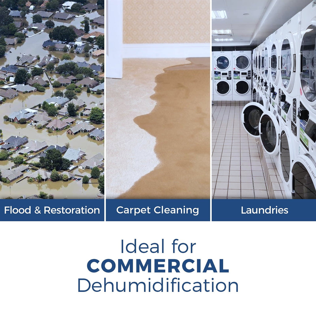 ALORAIR 113 Pints Commercial Dehumidifiers for Basement, Crawl Space Dehumidifier with Drain Hose, Blue