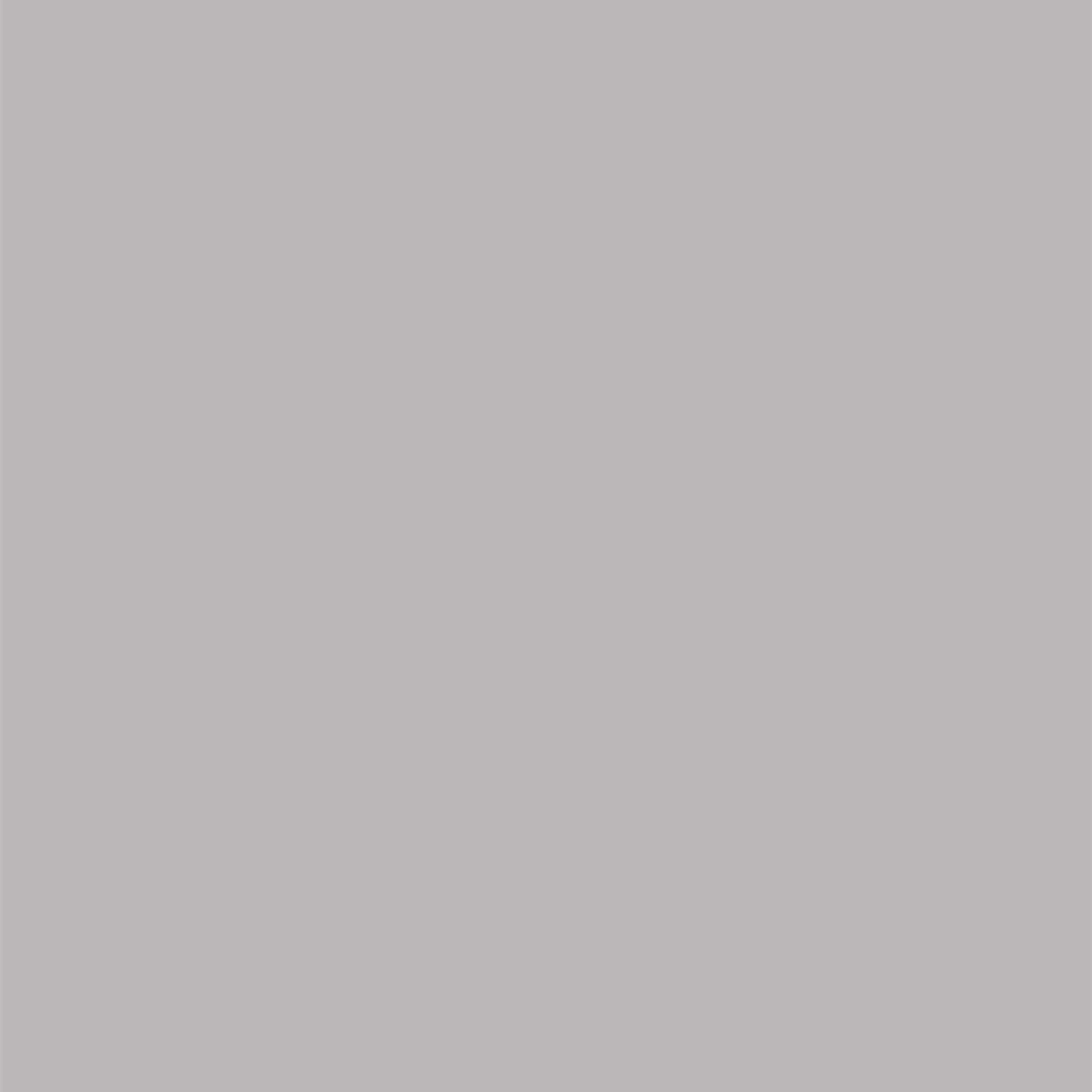 Dupli-Color EBCC0410 Bright Silver Metallic Chrysler Perfect Match Automotive Paint - 8 oz. Aerosol Fits select: 1999-2016 JEEP GRAND CHEROKEE, 2015-2016 JEEP WRANGLER UNLIMITED