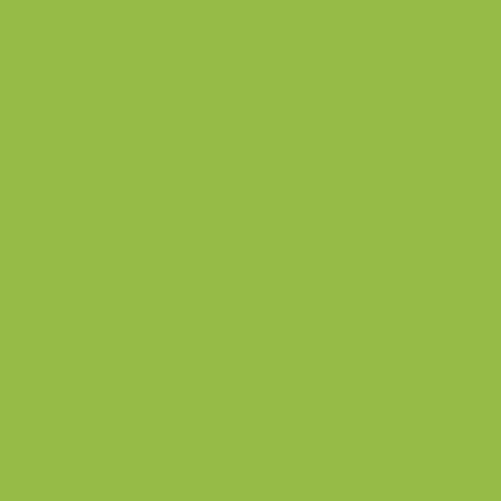 Krylon K02712007 Krylon Fusion All-In-One Jungle Green Gloss 12 oz. Spray Paint, Multi-Surface, (1 Piece, 1 Pack)