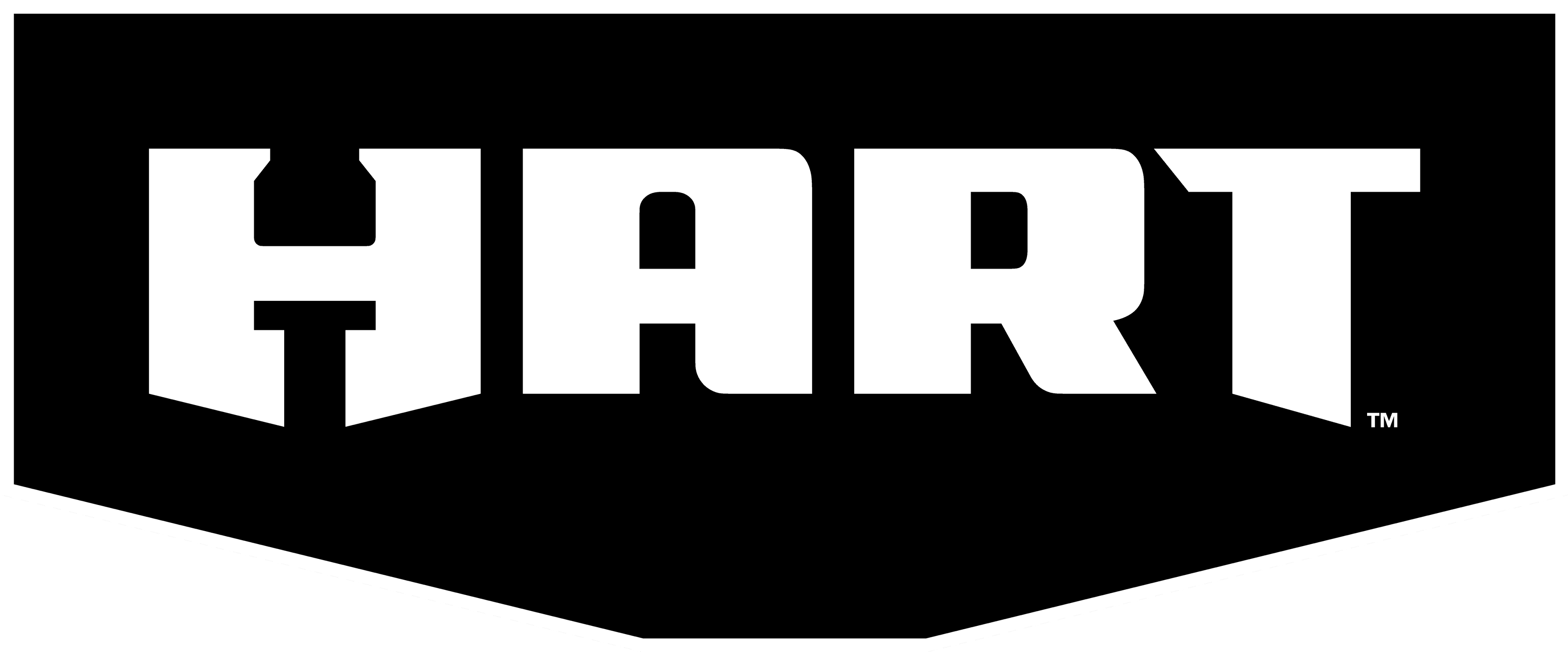 HART 20-Volt Power Source/Inverter (Battery Not Included)