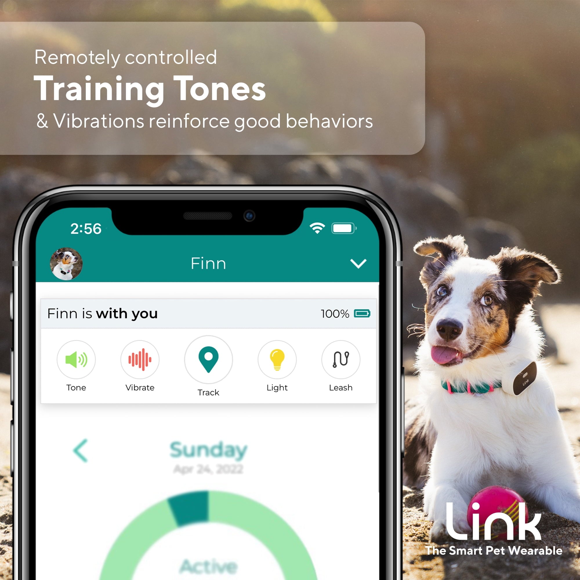 Link My Pet GPS Dog Tracker & Activity Monitor with Training Tools, Fits Any Collar