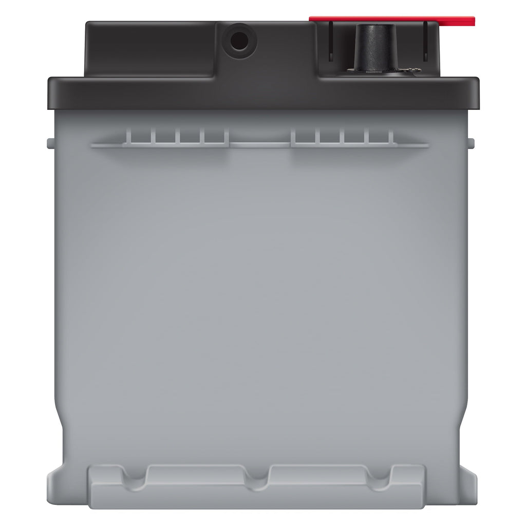 EverStart Platinum BOXED AGM Automotive Battery, Group Size H7 12 Volt, 850 CCA