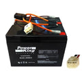 Beiter DC Power Razor MX350 Batteries 12 Volt 7ah W15130412003 Harness Versions 9-11+