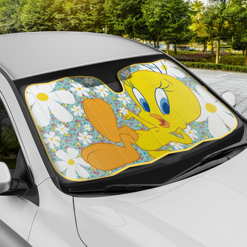 BDK Tweety Bird Front Windshield Auto Shade, Accordion Folding Auto Sunshade for Car Truck SUV-Blocks UV Rays Sun Visor Protector, Keeps Your Vehicle Cool-58 x 27 Inch