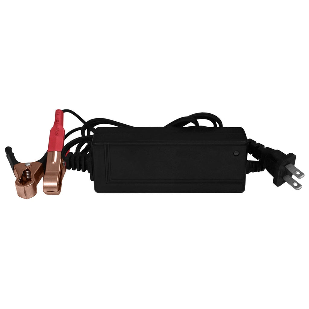 YTZ14S Replaces Honda VT750RS, C2B Yamaha FZS1000 FZ1 + 12V 2A Chargr