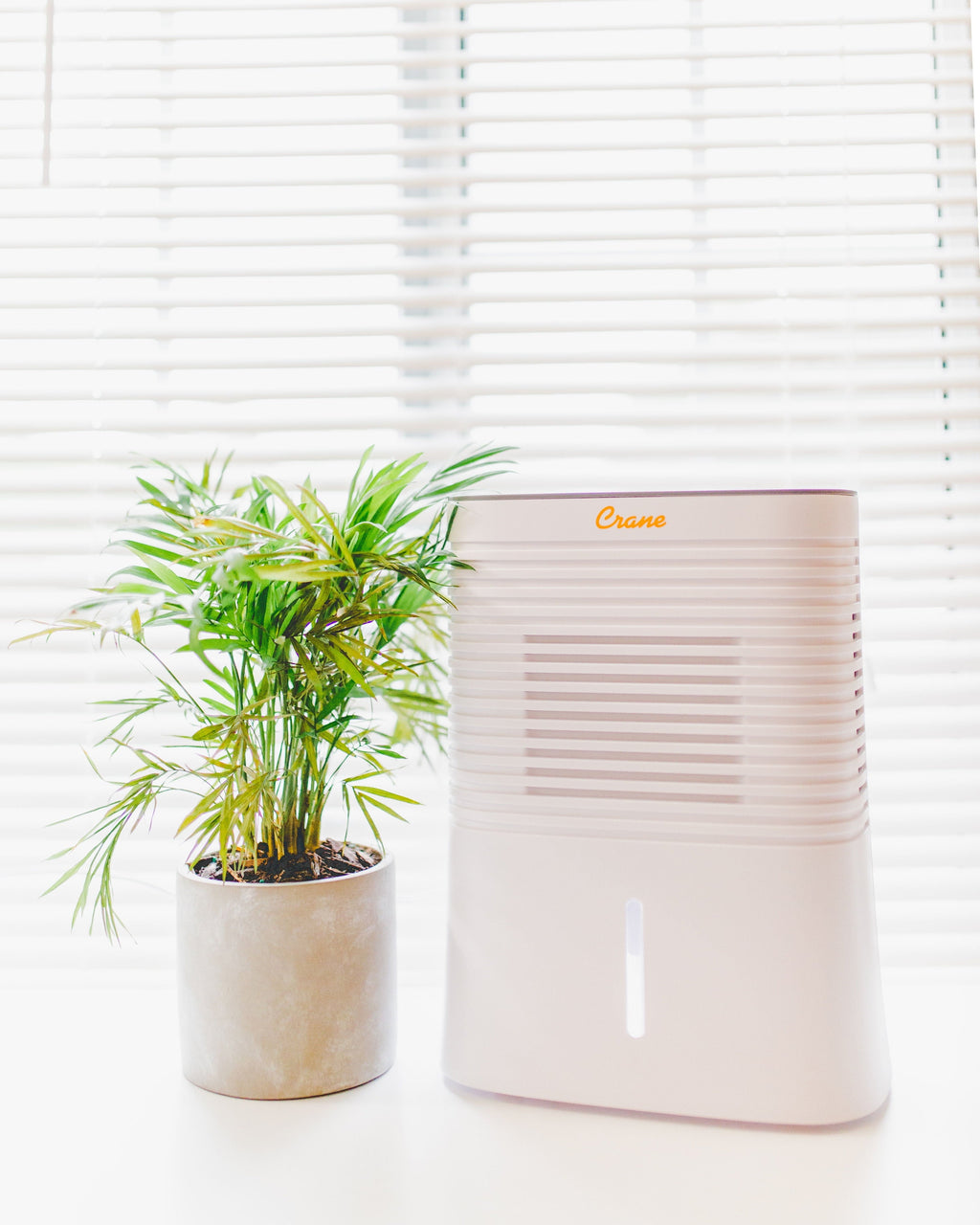 Crane 4 Pint Compact Portable Dehumidifier with 2 Settings for Small to Medium Rooms up to 300 sq. ft.