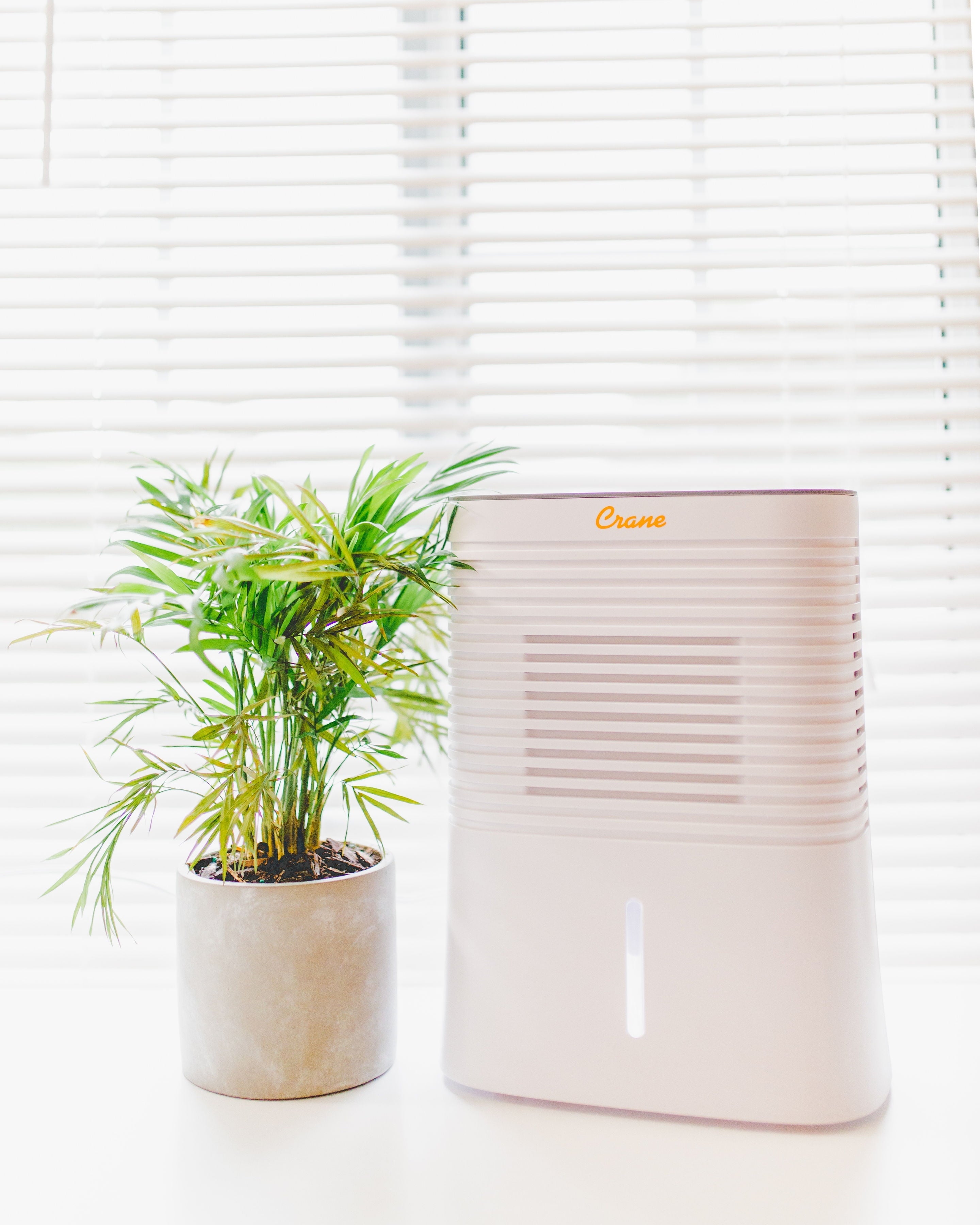 Crane 4 Pint Compact Portable Dehumidifier with 2 Settings for Small to Medium Rooms up to 300 sq. ft.