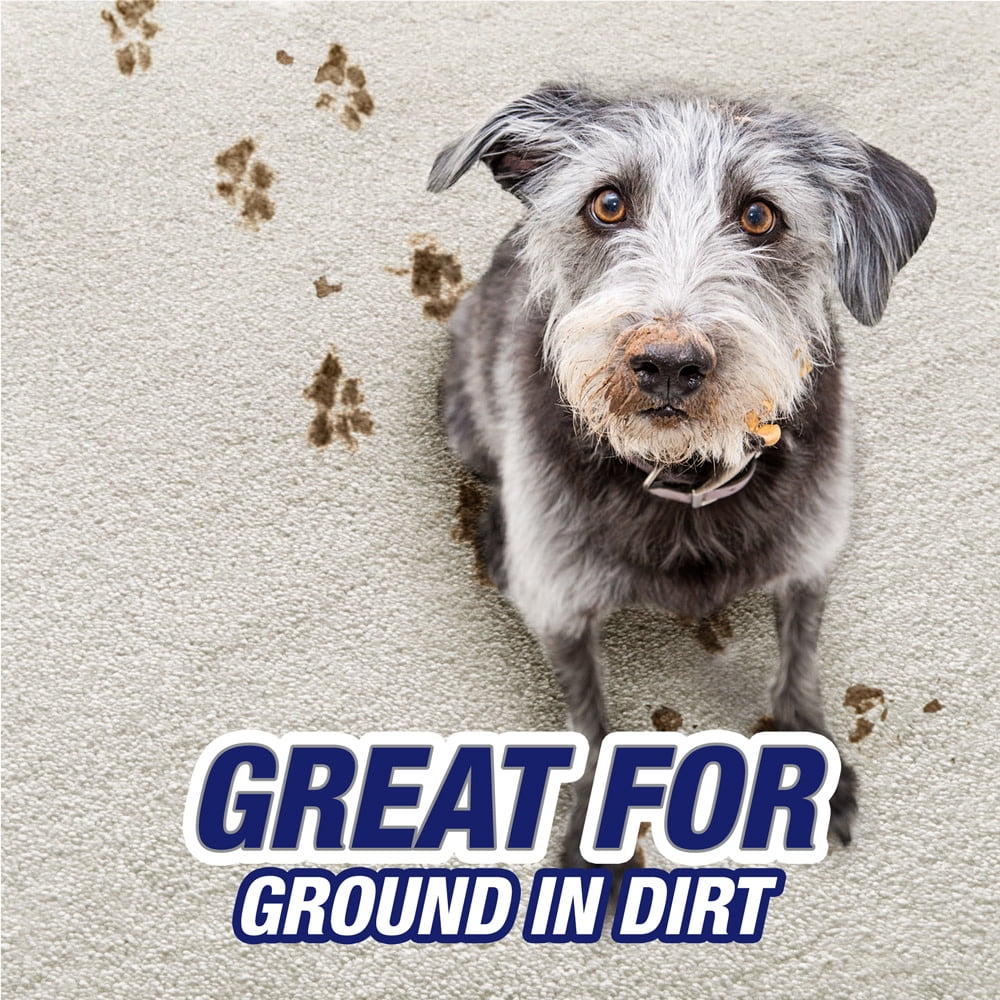 Resolve Pet High Traffic Carpet Foam, 22oz Can