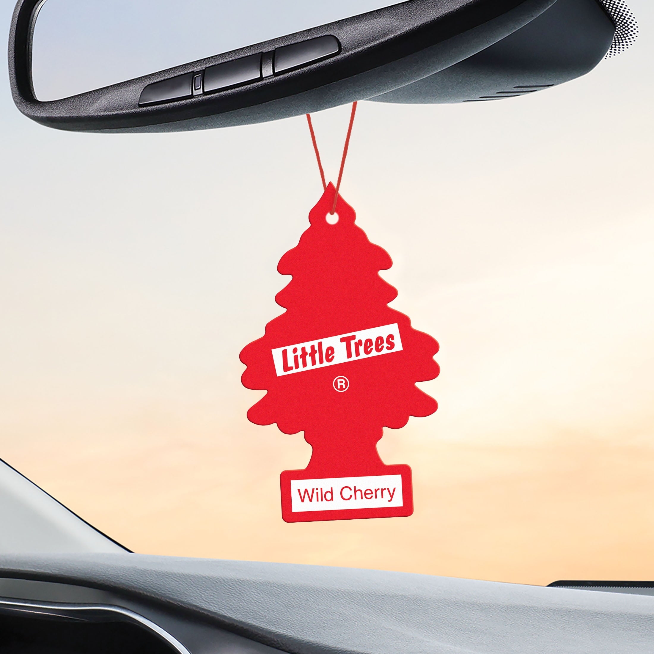 Little Trees Air Freshener Wild Cherry Fragrance 3-Pack