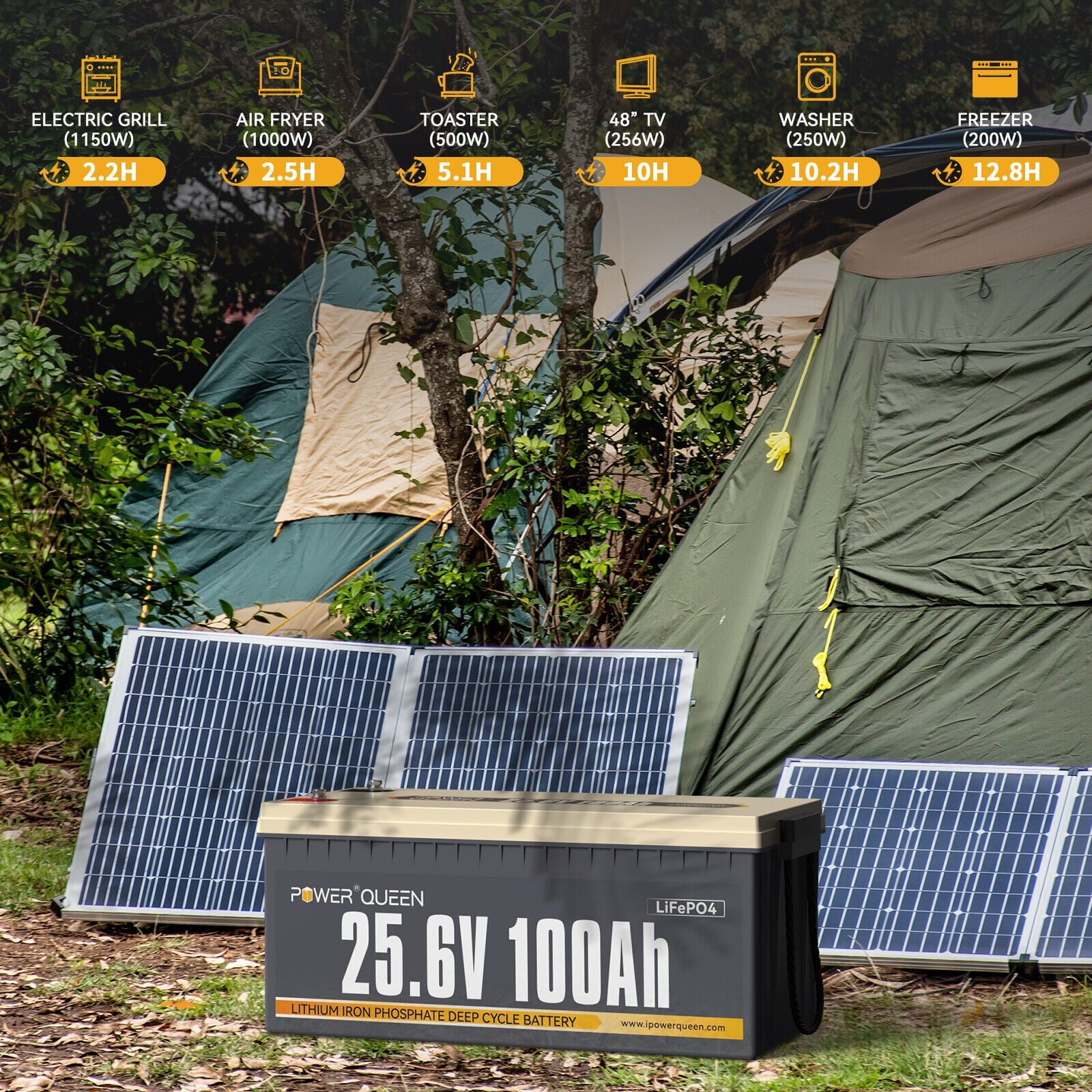Power Queen 24V 100Ah LiFePO4 Deep Cycle Lithium Battery 2560Wh 100A BMS for Solar RV Boat