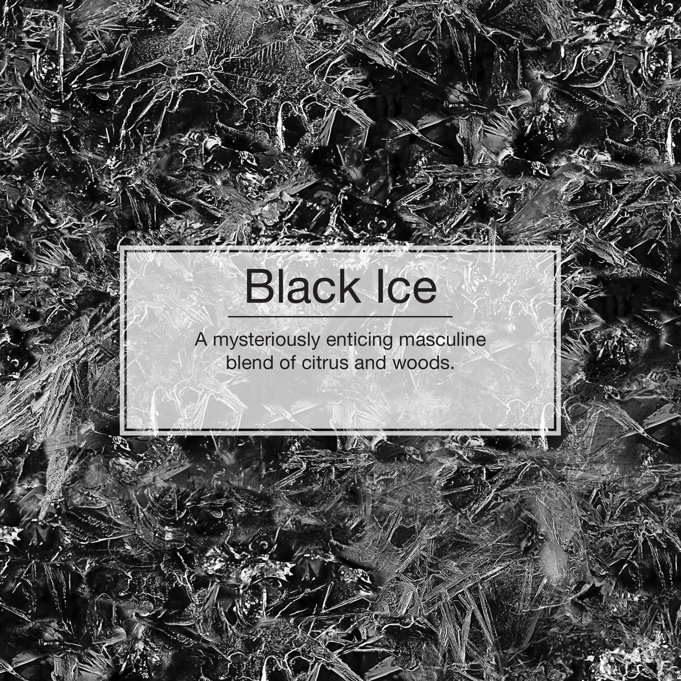 Little Trees Air Freshener Black Ice Fragrance 3-Pack