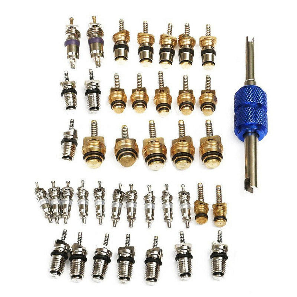 R12 R134A AC Schrader Valve Cores + Remover Tool Kit Air Conditioning Auto Servi