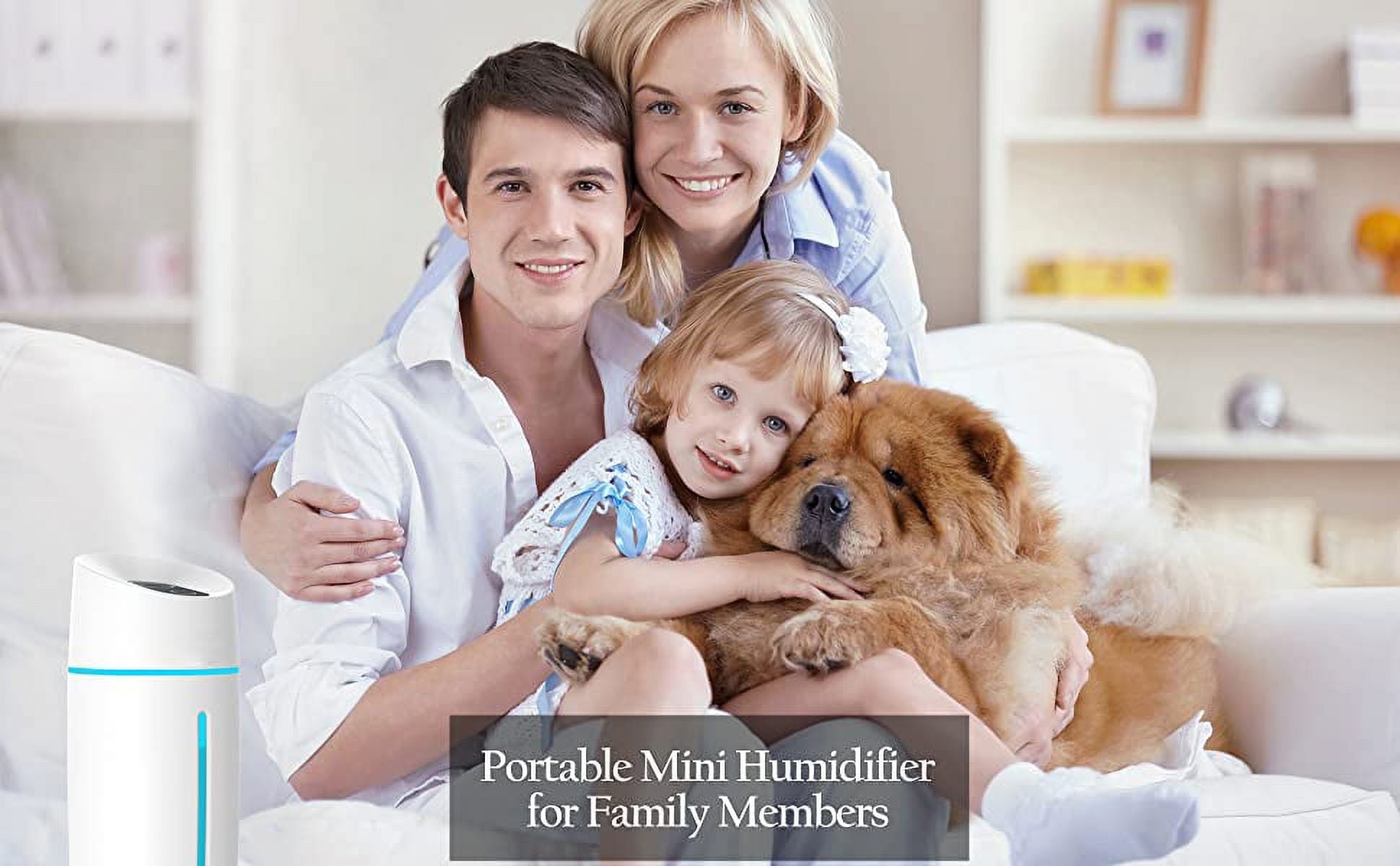 HONGGE Portable Personal, Mini Mist Humidifier with USB, White