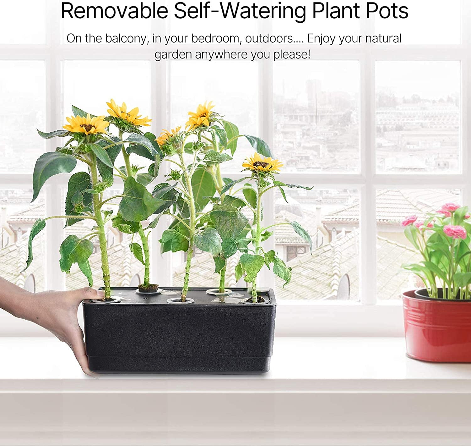 iDOO 20 Pods Hydroponics Growing System, Indoor Herb Garden Planter, Germination Starter Kit