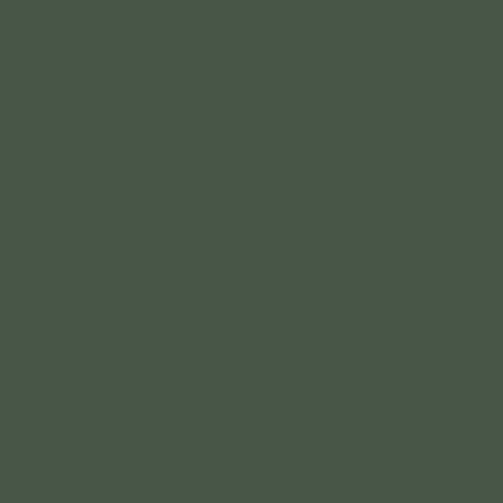 Krylon K02796007 Krylon Fusion All-In-One Spanish Moss Matte 12 oz. Spray Paint, Multi-Surface, (1 Piece, 1 Pack)
