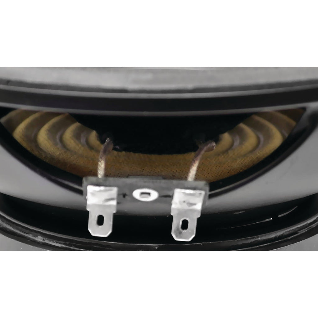 Pyle 10" 1000 Watts Car Audio Power Dual Voice Coil 4 Ohm Subwoofer Unit