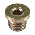 Can-Am 705500504 OEM Fill Level Drain Plug 2004-2020 Outlander Commander Renegade Maverick