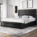 Easyfashion Upholstered Platform Queen Bed with 3 Storage Drawers and Built-in USB Ports, Black
