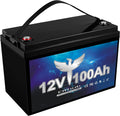 Elfhub 12v 100Ah LifePo4 Battery 7000 Deep Cycles with BMS Lithium Iron for RV Campers Solar Marine Caravans Golf Carts Boat Fishing
