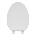 FBJ Oval Plastic Toilet Seat Soft Close in White, No Slam & Easy to Clean