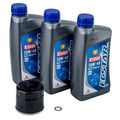 Oil Change Kit With Suzuki ECSTAR R5000 10W-40 For Suzuki