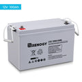 Renogy Deep Cycle AGM Battery 12 Volt 100Ah, 3% Self-Discharge Rate, 2000A Max Discharge Current, Safe Charge Most Home Appliances for RV, Camping, Cabin, Marine and Off-Grid System, Maintenance-Free