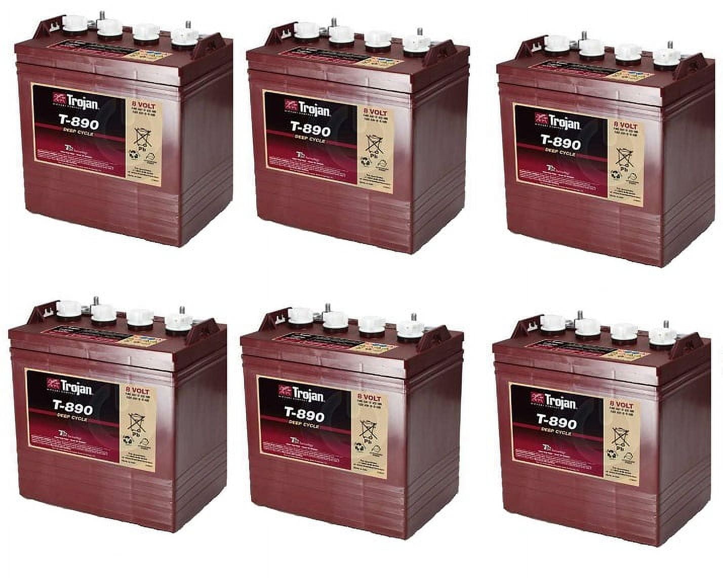 Trojan T-890 Deep Cycle 8V Battery X6