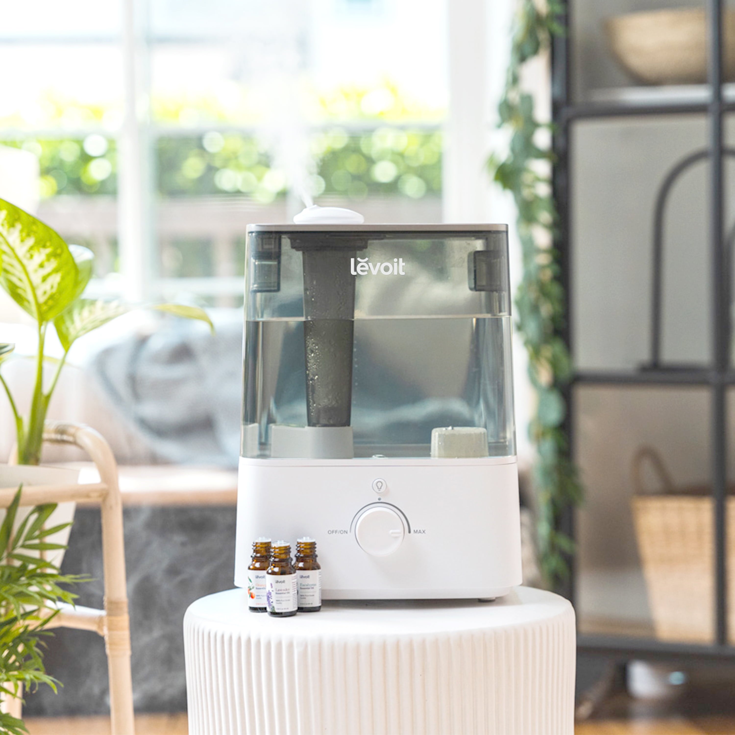 Levoit Cool Mist Humidifier for Room, Top Fill Vaporizer for Large Rooms with Nightlight, 6L, Classic 300, Gray