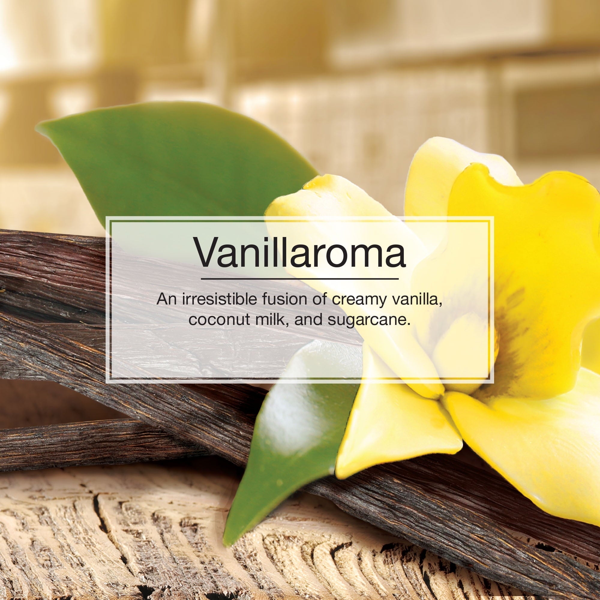 Little Trees Air Freshener Vanillaroma Fragrance 6-Pack (Pack of 1)