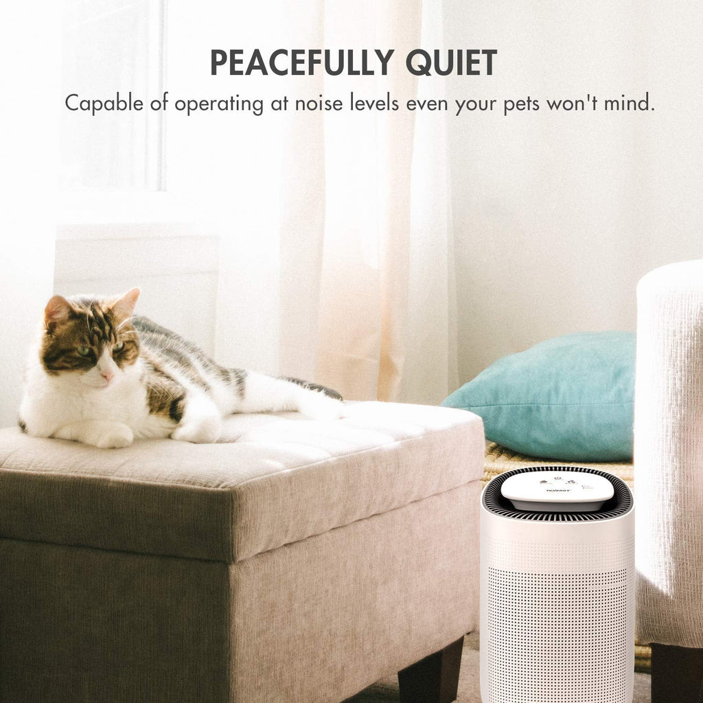 Tenergy Sorbi 1000ml Air Dehumidifier w/Air Purifying Function, True HEPA Filter, Auto Shutoff, Touch Control Adjustable Air Speed, Ultra-Quiet Allergies Eliminator, Ideal for Closets and Bathrooms