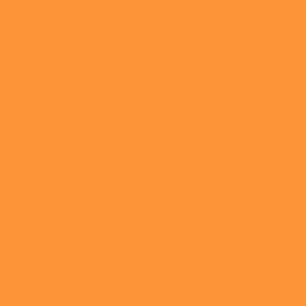 Plasti Dip Spray Blaze Orange