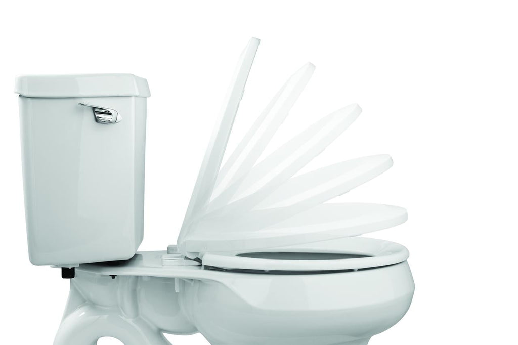 Mainstays Elongated Plastic Toilet Seat with Soft Close and Easy off in Daisy White