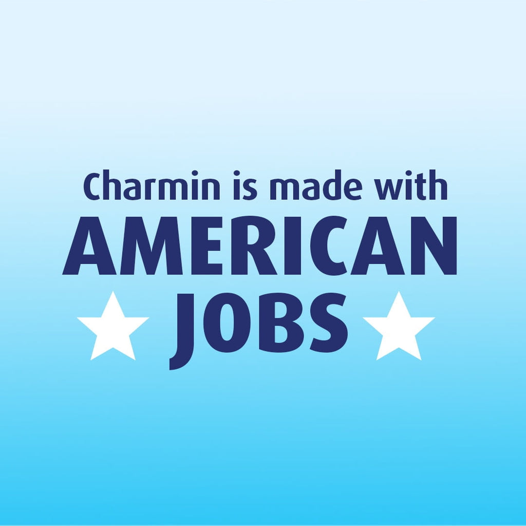 Charmin Ultra Soft Toilet Paper, 12 Mega Rolls