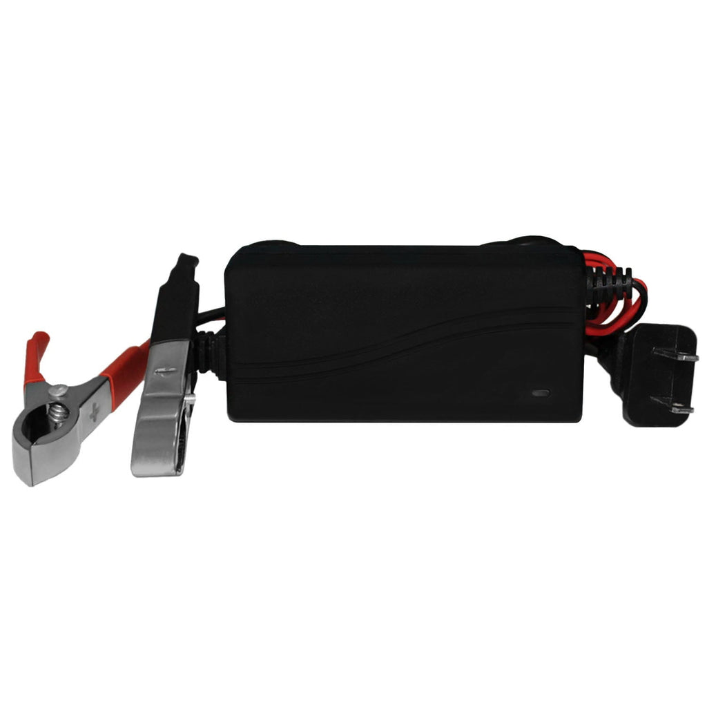 YTX4L-BS SLA Replaces RideOn Mower ATV Quad Buggy + 12V 1Amp Charger