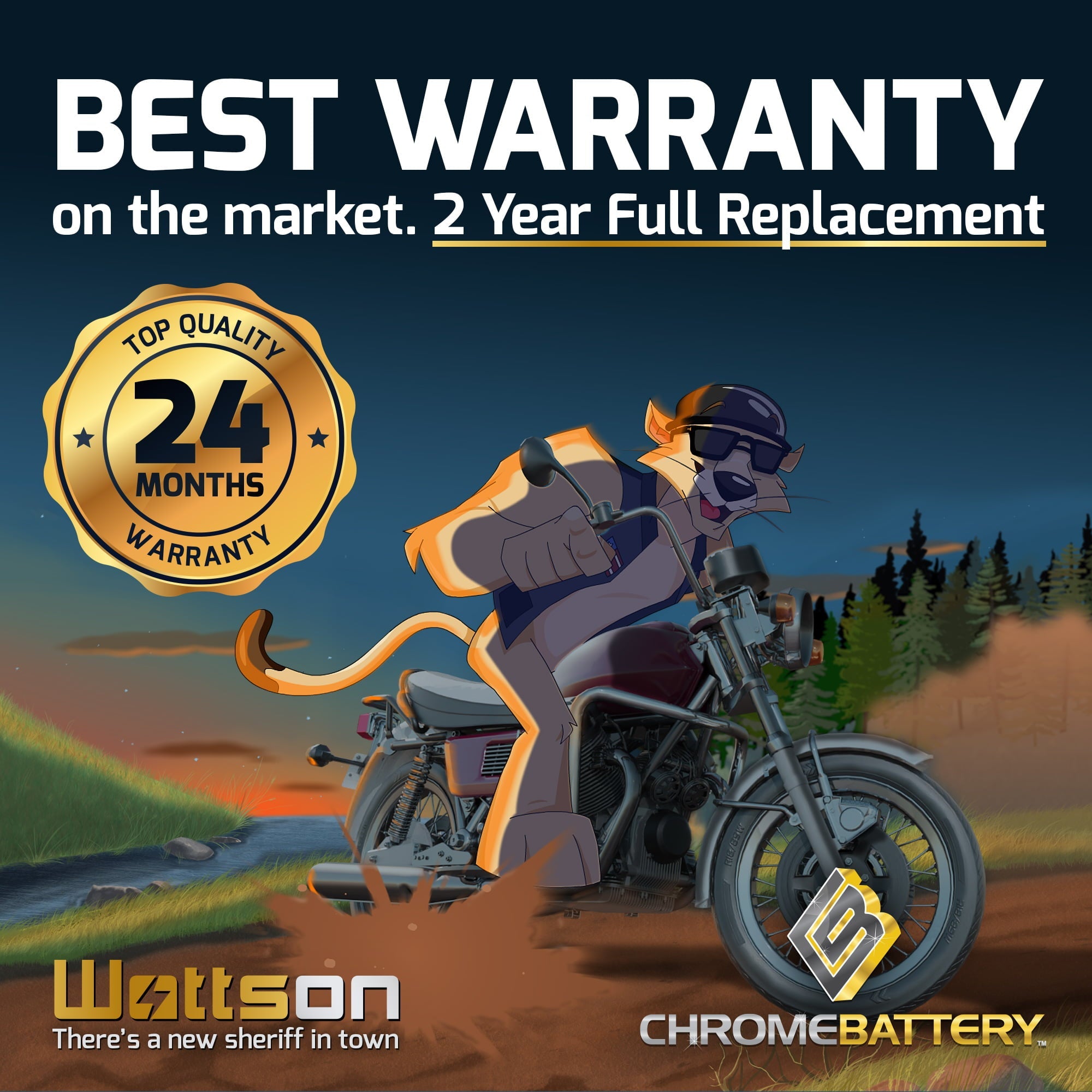 Chrome Battery Ytx20hl-bs (20hl-bs 12 Volts,18 Ah, 310 Cca) Motorcycle Battery for Yamaha 1300cc Xvz13 Royal Star/venture 2007