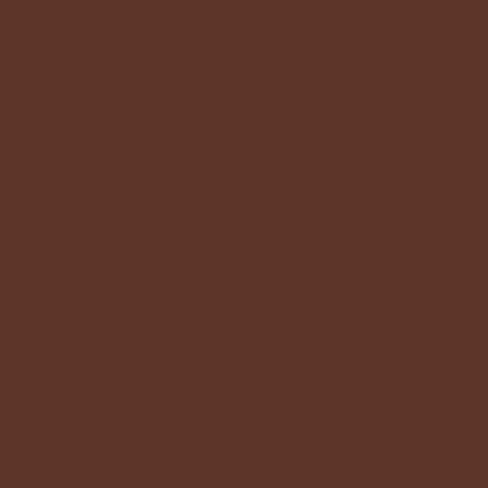 Krylon K02707007 Krylon Fusion All-In-One Espresso Gloss 12 oz Spray Paint, Multi-Surface, (1 Piece, 1 Pack)