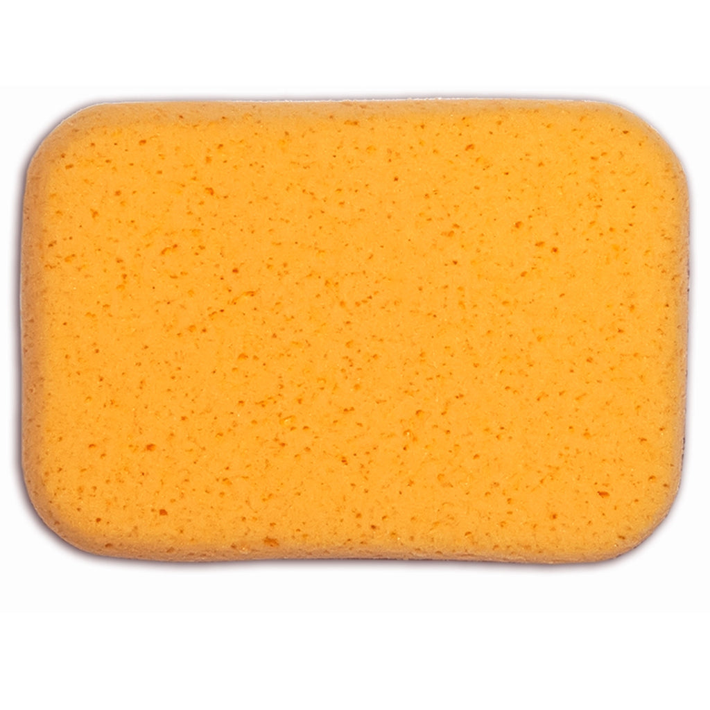 2 Large Car Wash Foam Sponges Extra Absorbent Expanding Compress Auto Cleaning