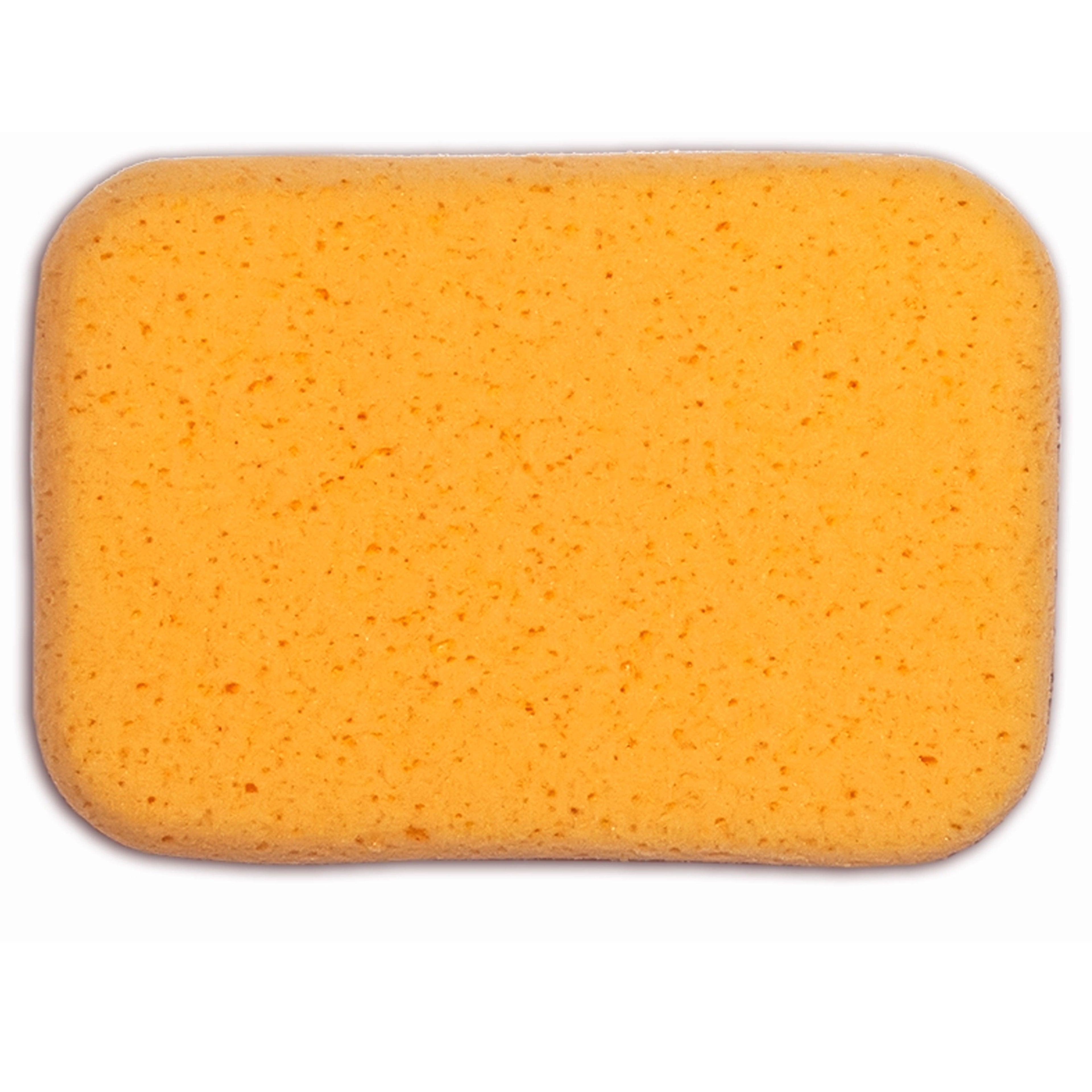 2 Large Car Wash Foam Sponges Extra Absorbent Expanding Compress Auto Cleaning