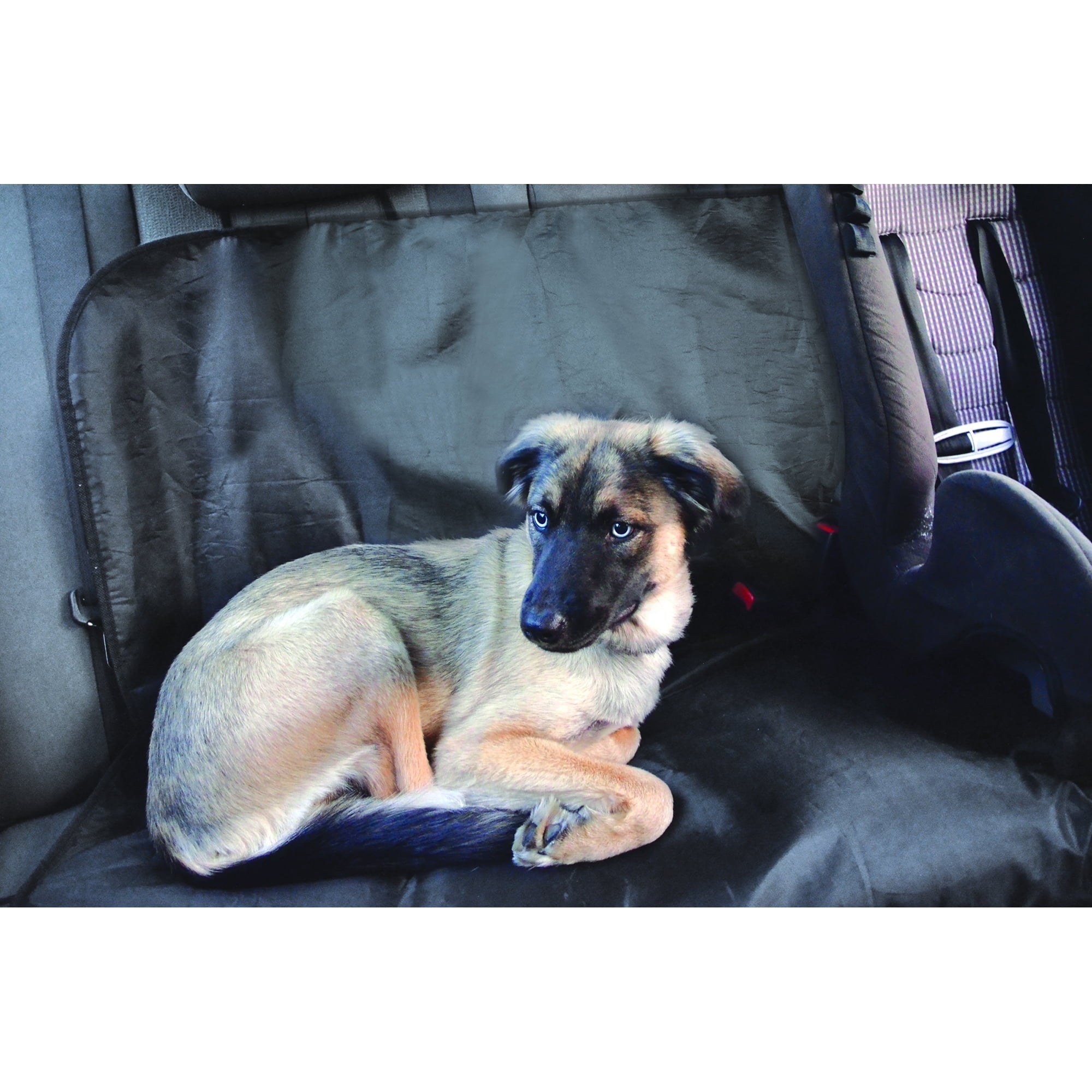 Auto Drive Water Resistant Rear Bench Seat Protector, Black